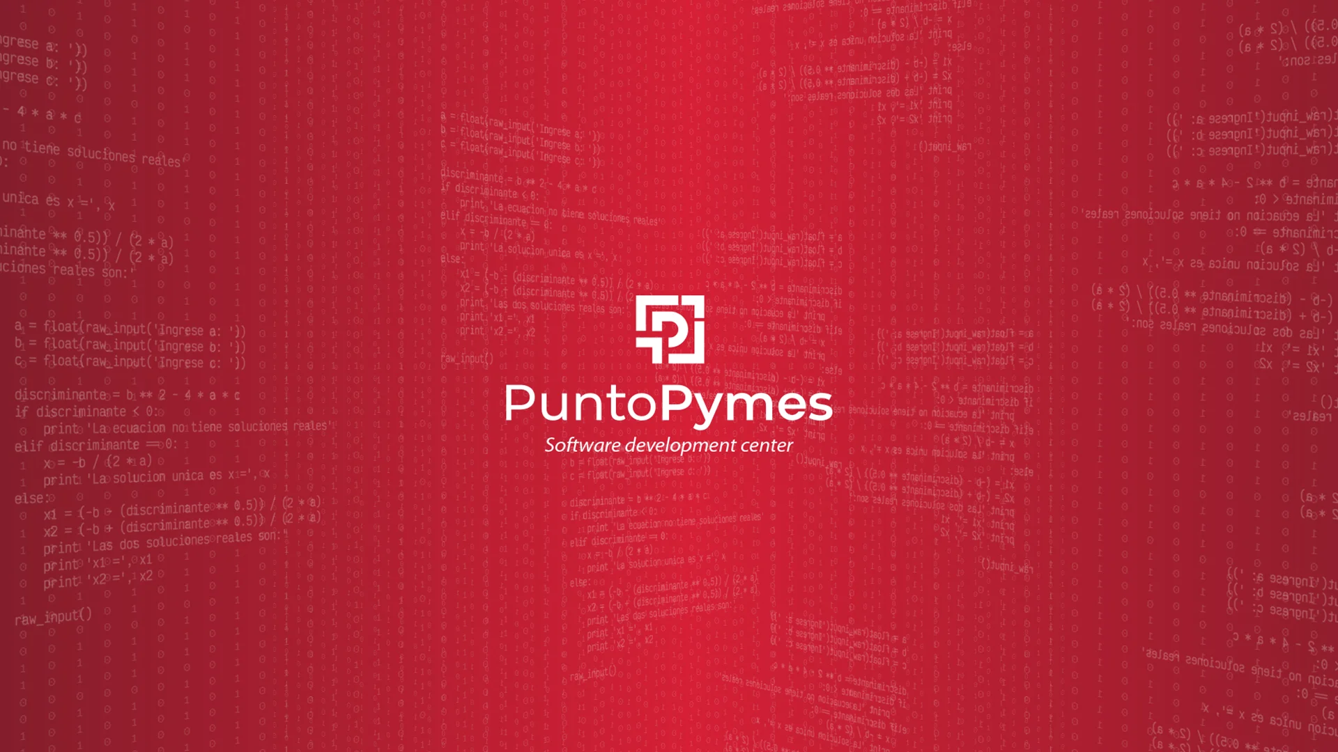Imagen de Puntopymes - Nro.1